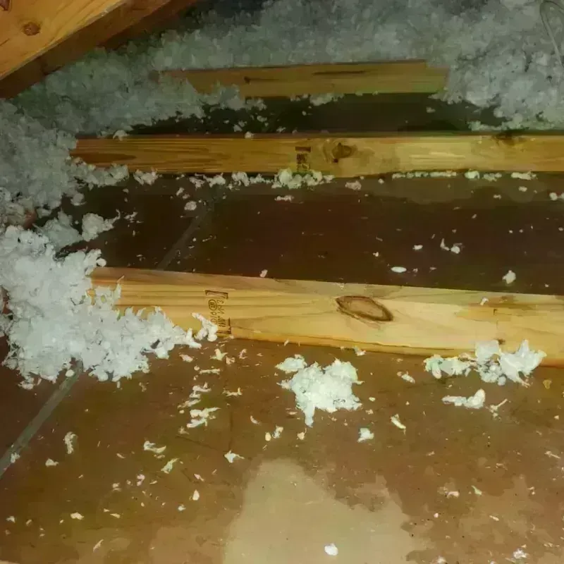 Attic Water Damage in Hill City, KS