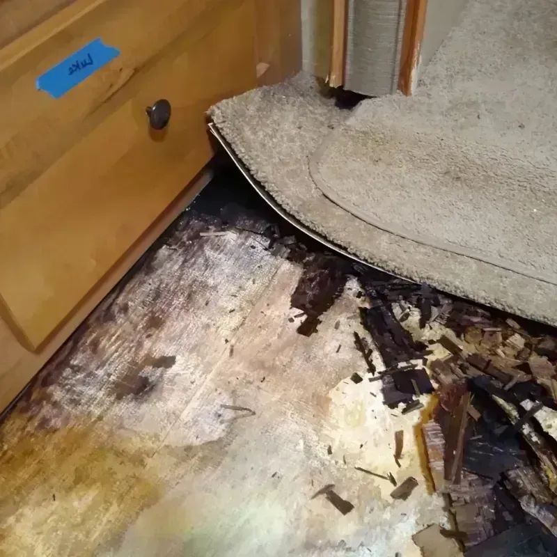 Wood Floor Water Damage in Hill City, KS